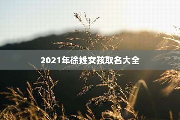 2021年徐姓女孩取名大全