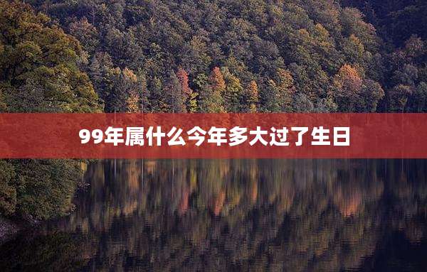 99年属什么今年多大过了生日