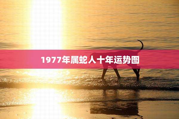 1977年属蛇人十年运势图