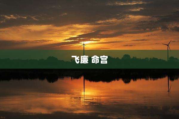 飞廉 命宫