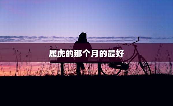 属虎的那个月的最好