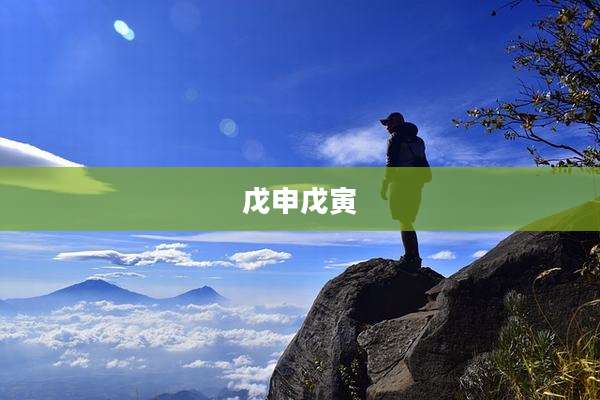 戊申戊寅