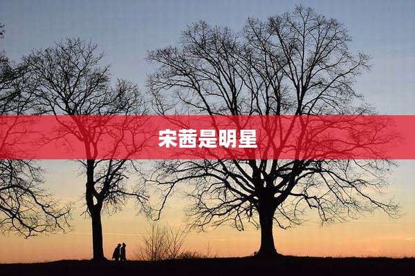 宋茜是明星