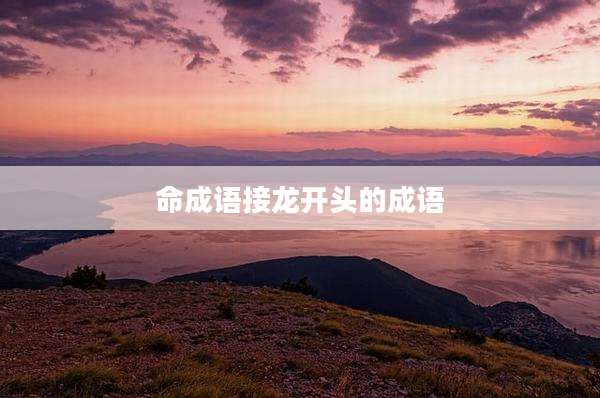 命成语接龙开头的成语