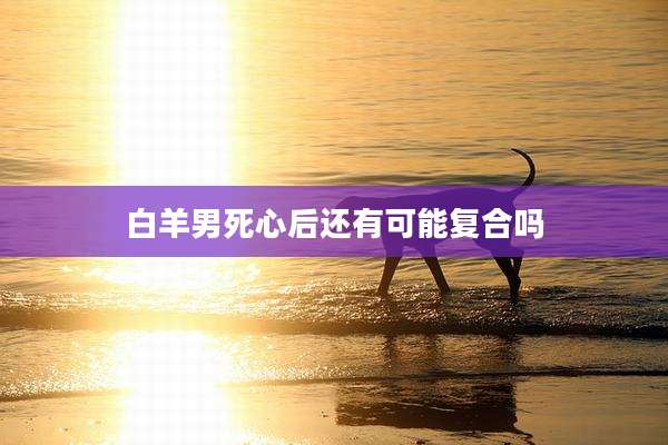 白羊男死心后还有可能复合吗