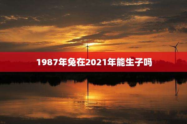 1987年兔在2021年能生子吗