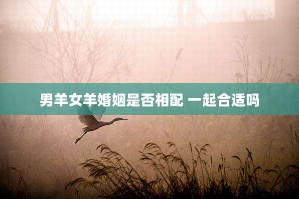 男羊女羊婚姻是否相配 一起合适吗