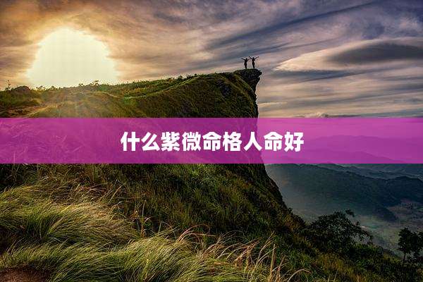 什么紫微命格人命好
