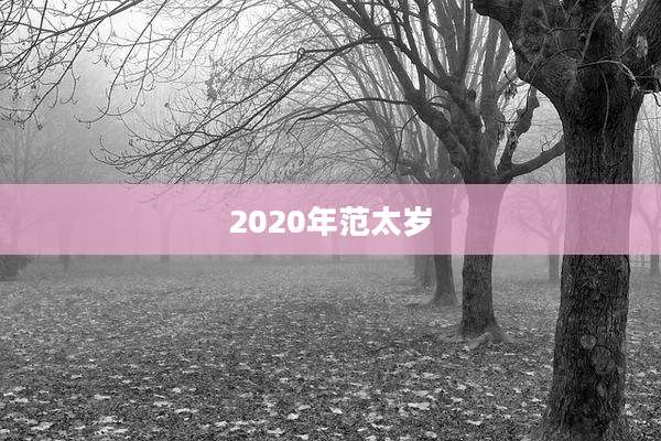 2020年范太岁
