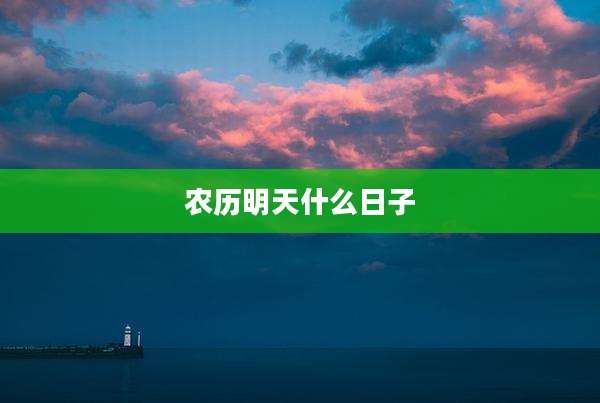 农历明天什么日子
