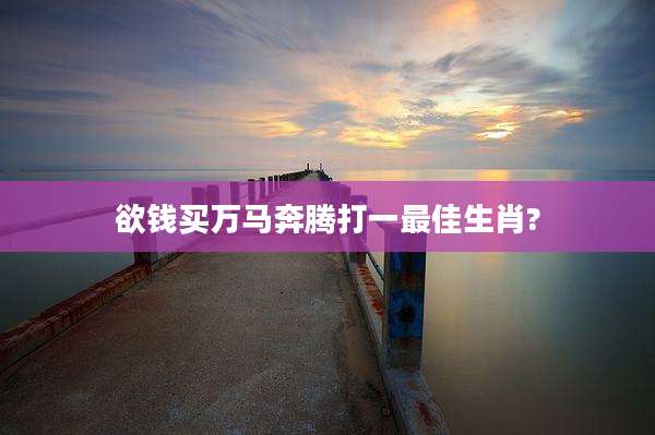 欲钱买万马奔腾打一最佳生肖?