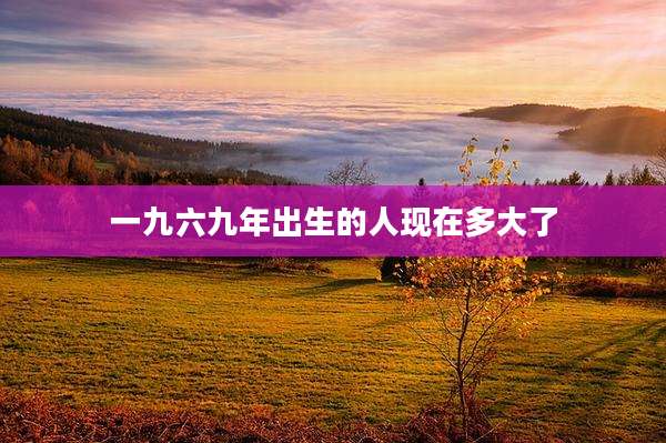 一九六九年出生的人现在多大了