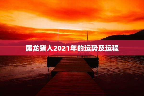 属龙猪人2021年的运势及运程
