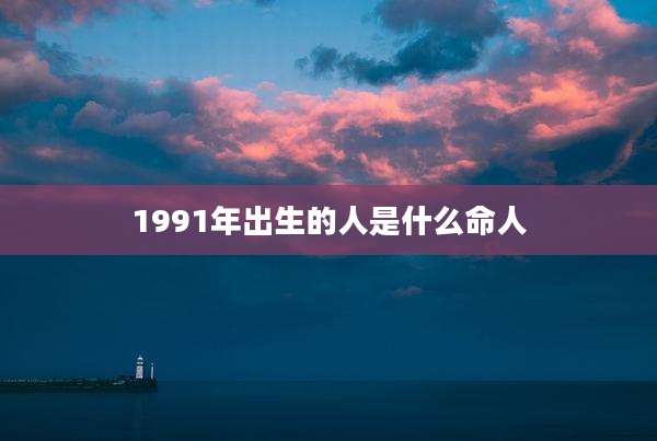 1991年出生的人是什么命人