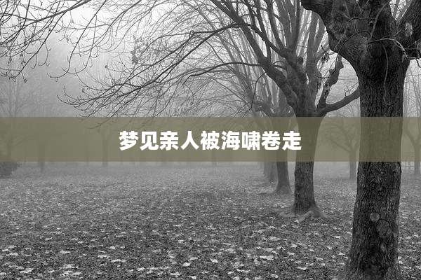 梦见亲人被海啸卷走