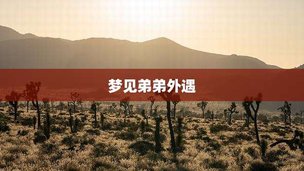梦见弟弟外遇