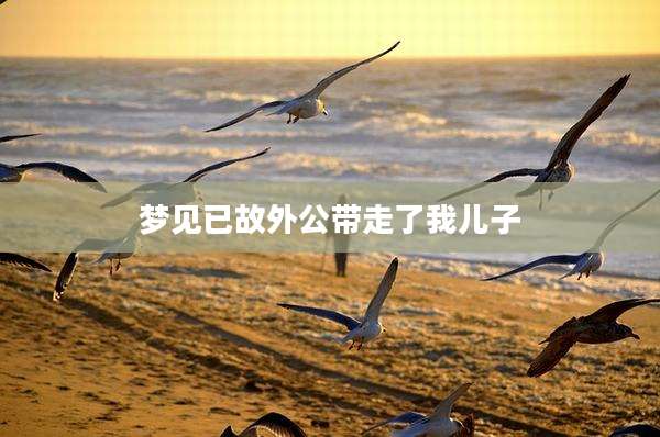 梦见已故外公带走了我儿子