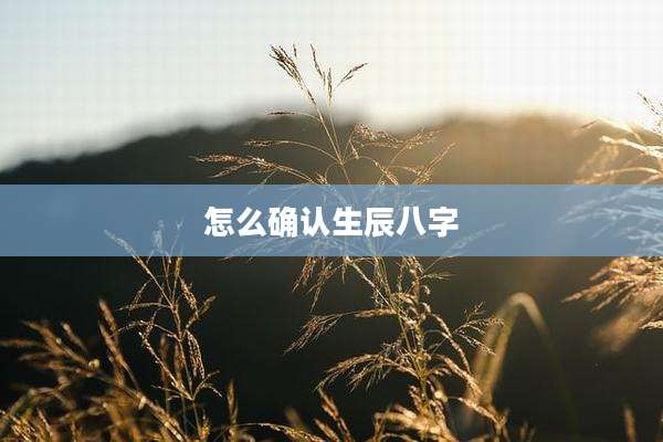 怎么确认生辰八字