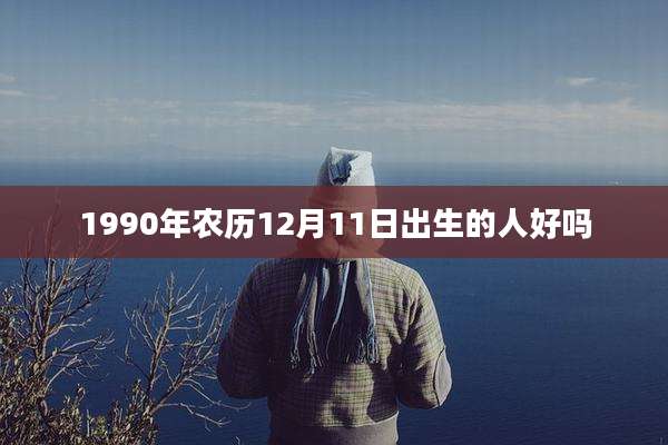 1990年农历12月11日出生的人好吗