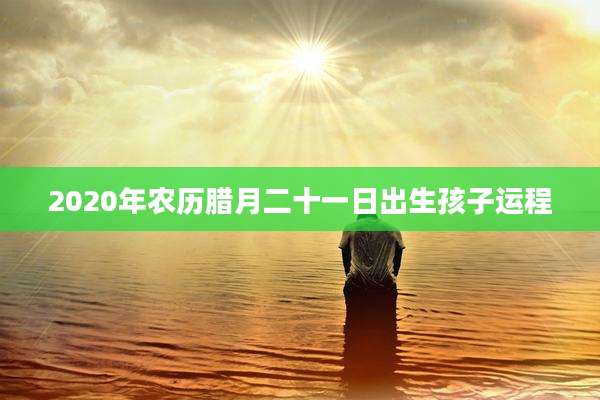 2020年农历腊月二十一日出生孩子运程