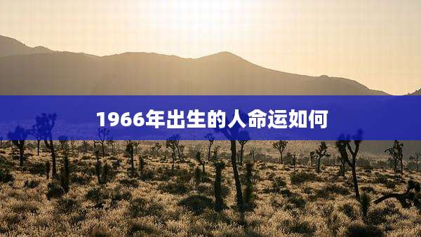 1966年出生的人命运如何