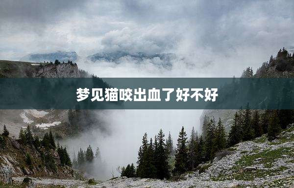梦见猫咬出血了好不好