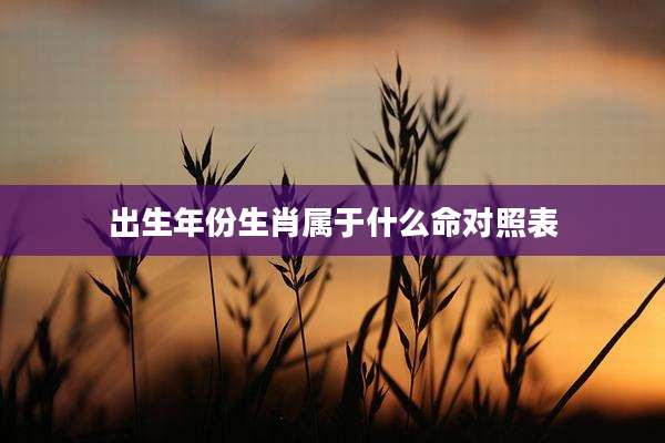 出生年份生肖属于什么命对照表