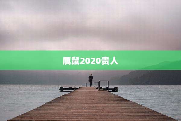 属鼠2020贵人