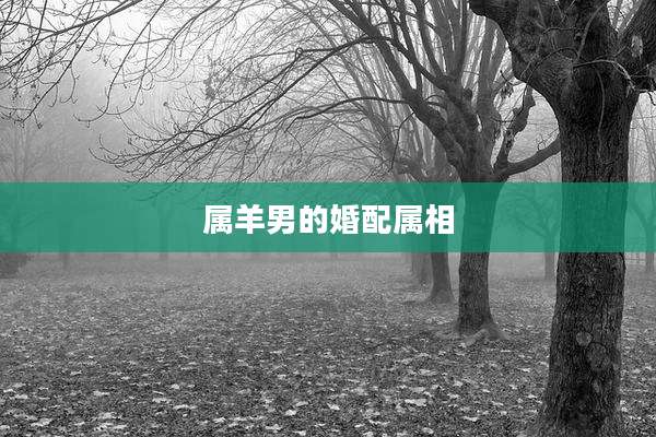 属羊男的婚配属相