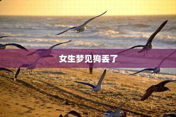 女生梦见狗丢了