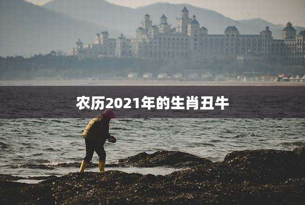 农历2021年的生肖丑牛