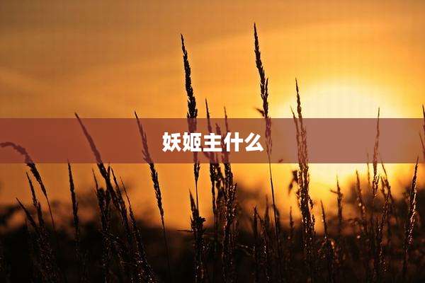 妖姬主什么
