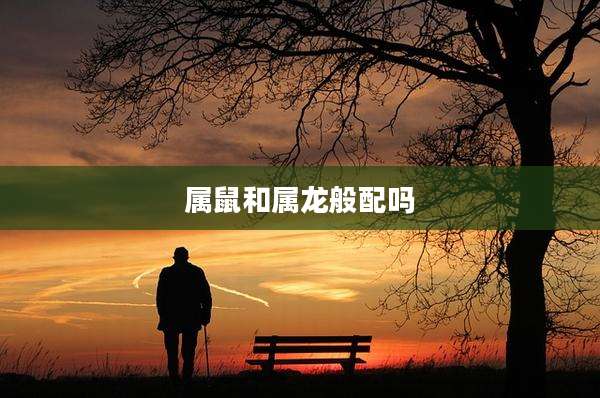 属鼠和属龙般配吗
