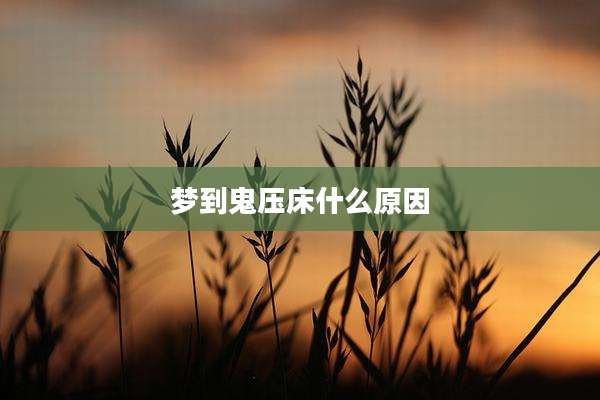 梦到鬼压床什么原因