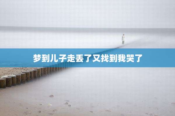 梦到儿子走丢了又找到我哭了