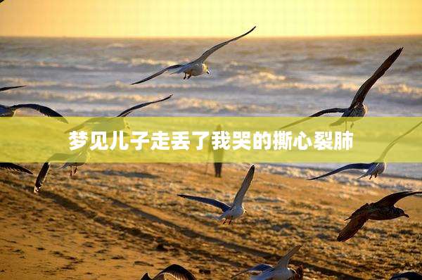 梦见儿子走丢了我哭的撕心裂肺