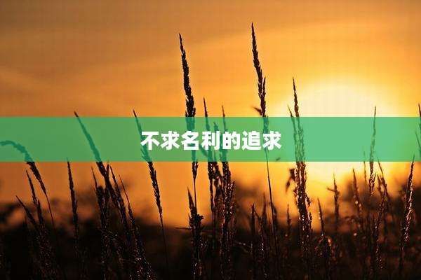 不求名利的追求
