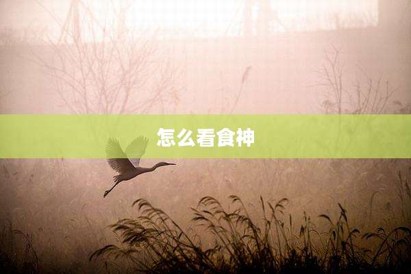 怎么看食神