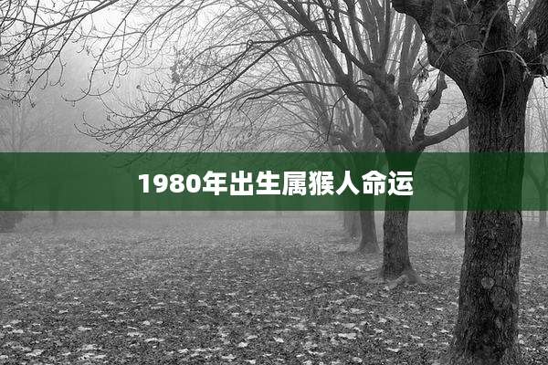 1980年出生属猴人命运