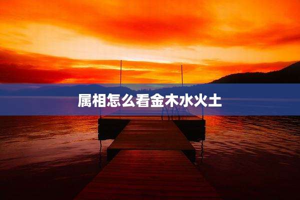 属相怎么看金木水火土