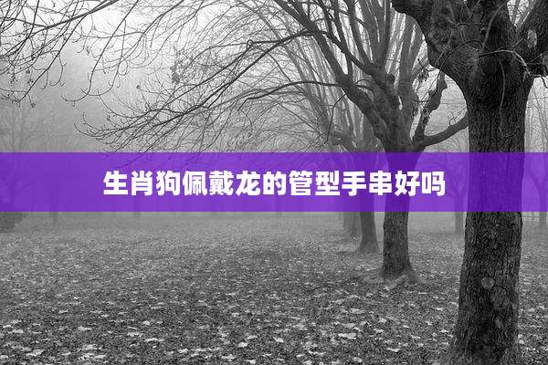 生肖狗佩戴龙的管型手串好吗