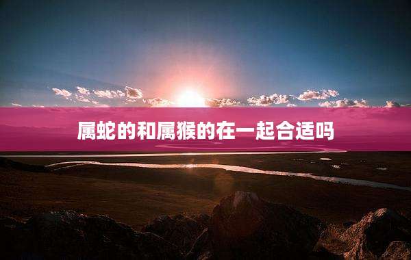 属蛇的和属猴的在一起合适吗
