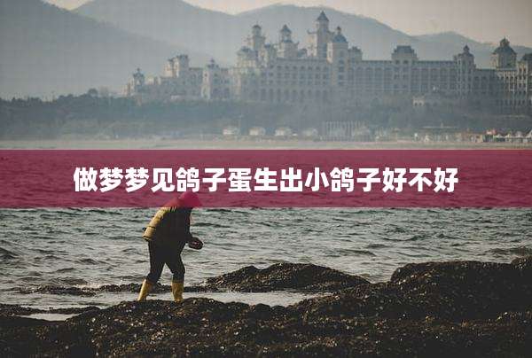 做梦梦见鸽子蛋生出小鸽子好不好