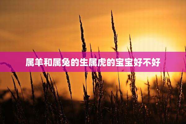 属羊和属兔的生属虎的宝宝好不好