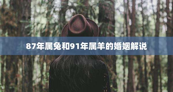 87年属兔和91年属羊的婚姻解说