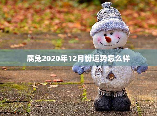 属兔2020年12月份运势怎么样