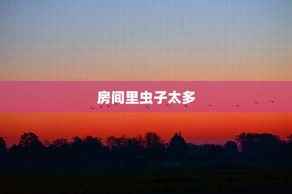 房间里虫子太多