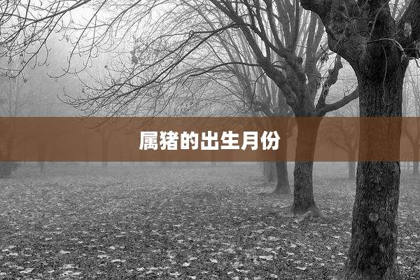 属猪的出生月份