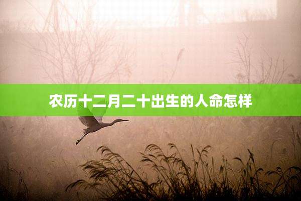 农历十二月二十出生的人命怎样
