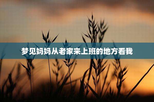 梦见妈妈从老家来上班的地方看我